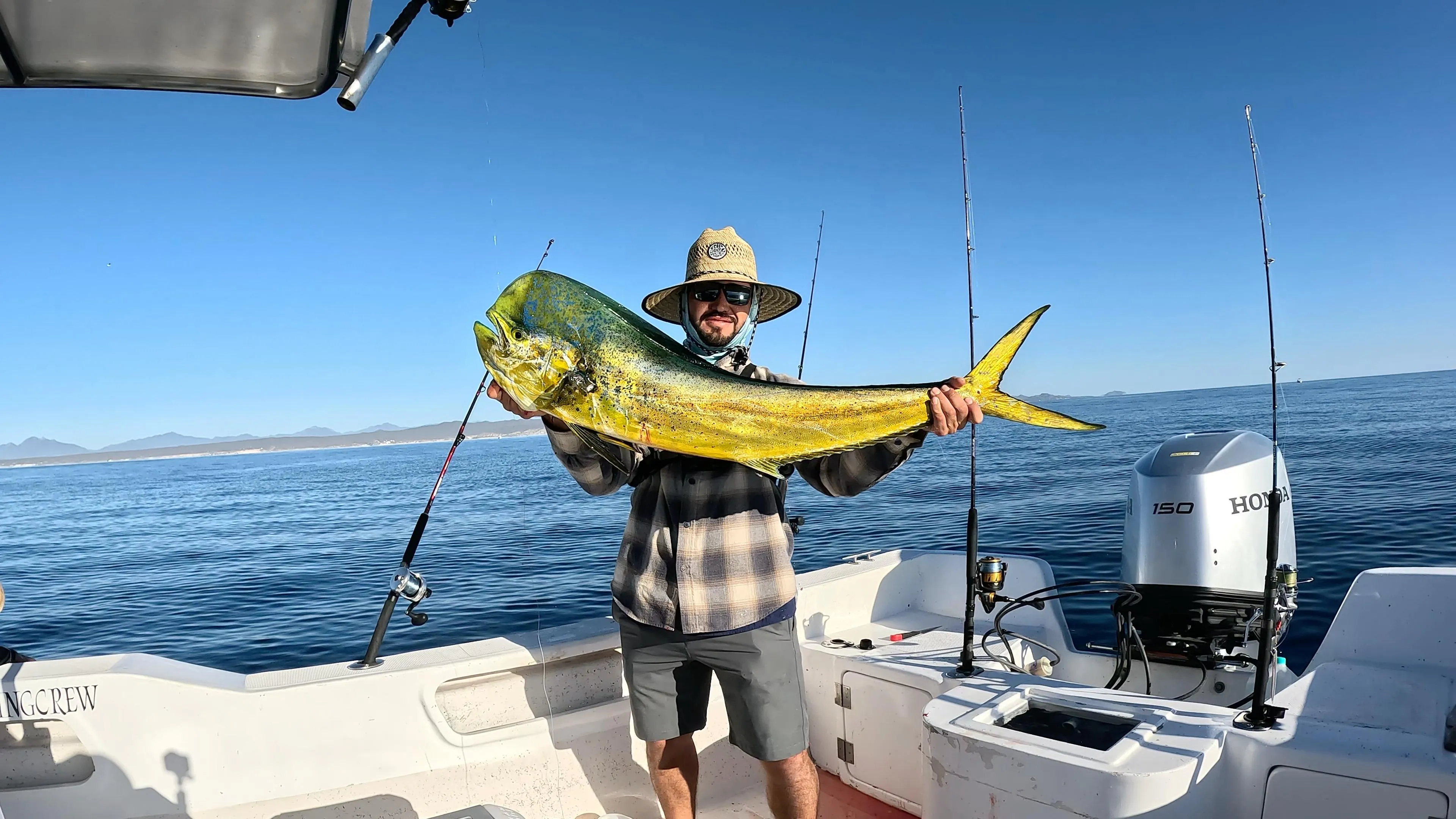 East Cape fishing