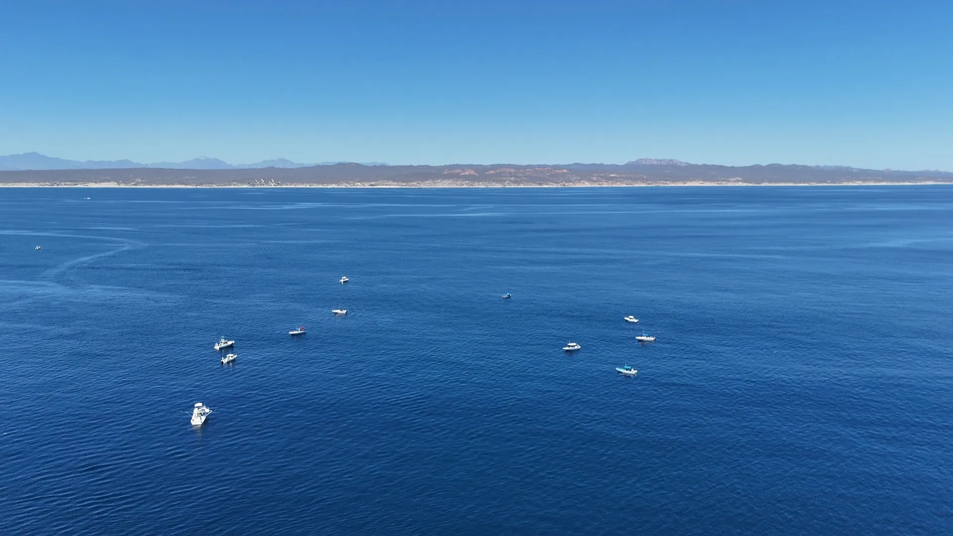 East Cape fishing