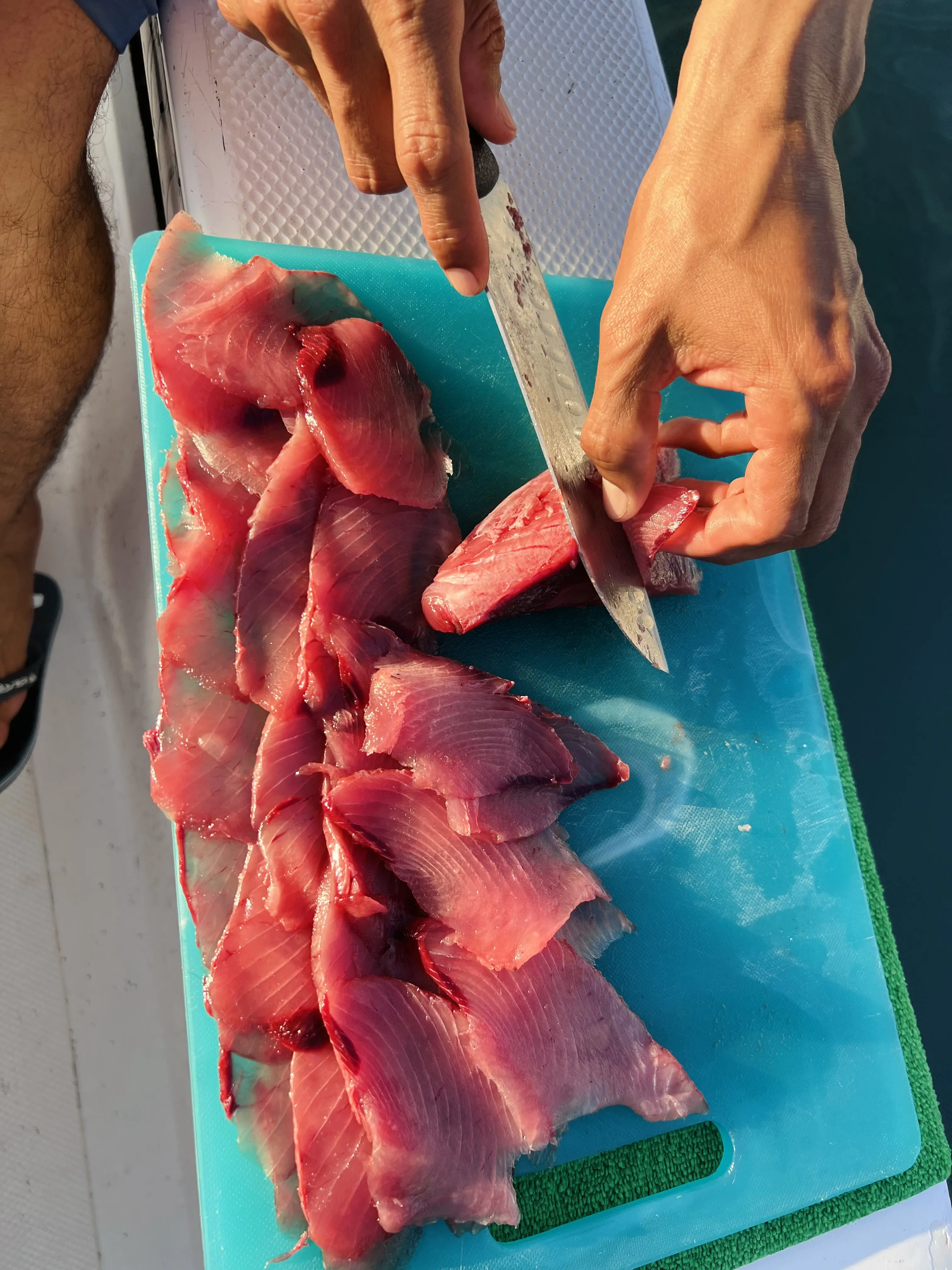 East Cape fishing