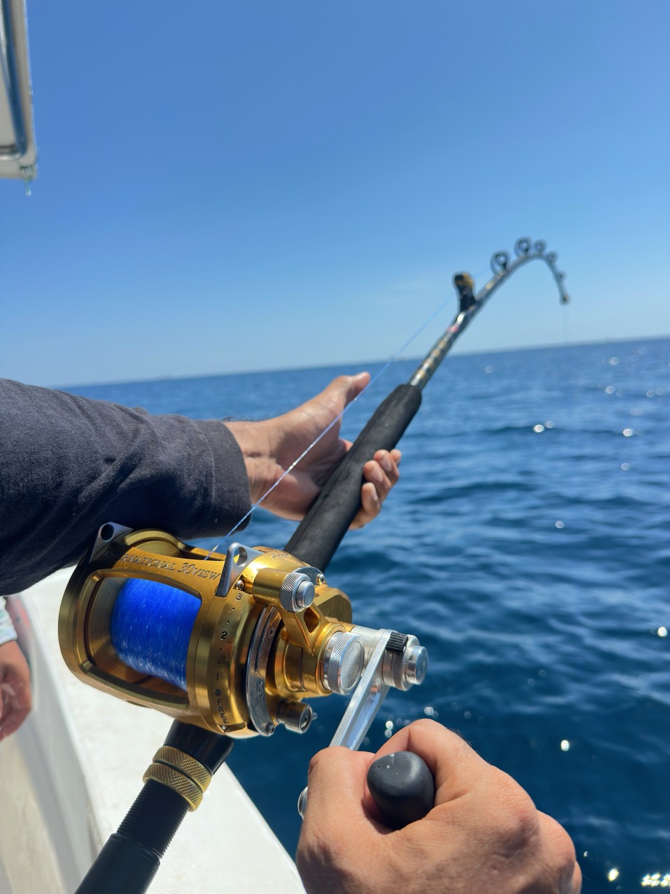 Sport fishing action
